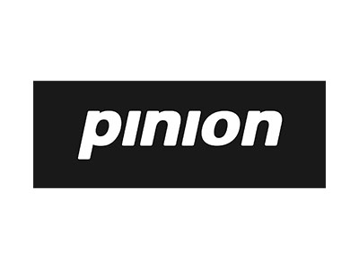 pinion